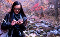 韩国女主播不雅视频